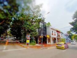 Joo Chiat Road (D15), Shop House #607856531